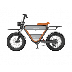 Rictor K1 Pro Max - Future E-Bike – Elektrische Fiets Met 250W Motor + GPS - Voor En Achterzitje - Twee accu’s - 230KM