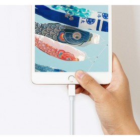 DrPhone LUNAR2 - USB-C Naar Lightning Kabel - 5V - 20% Sneller Laden - iPad Pro / iPhone 11 / 11 Pro / XS Max / XS
