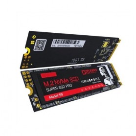 LUXWALLET DM E9-M.2 NVMe 2280 Solid State Drive SSD – ondersteunt PCLe Gen3X4 - 256GB