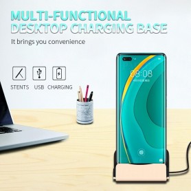 DrPhone DS1 - Oplader - Docking Station - Synchroniseren - USB-C - Goud