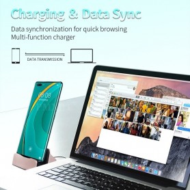 DrPhone DS1 - Oplader - Docking Station - Synchroniseren - USB-C - Goud