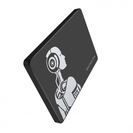 LUXWALLET DMF5 SSD 2.5 Inch SATA 3 (6Gbps) Interne Solid State Drive Harde Schijf – 512GB